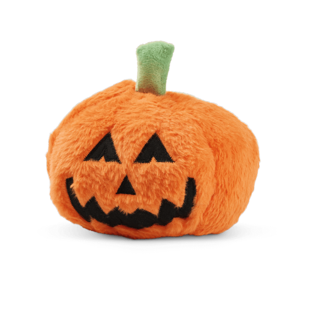 Citrouille en peluche
